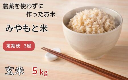 【定期便3回】農薬を使わずに作ったお米　みやもと米（玄米）　5kg
