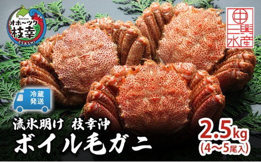 
                  〈冷蔵発送〉流氷明け 枝幸沖 ボイル毛ガニ 2.5kg (4～5尾入) 先行予約【2027年3月頃発送予定】旬の味覚［丸中三興水産］オホーツク枝幸 前浜【 蟹 魚介 北海道 枝幸 】
                