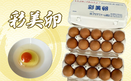 彩美卵20個 No.425