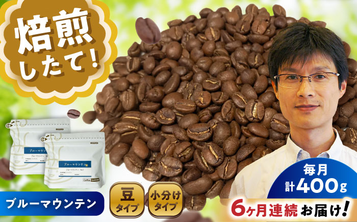 【全6回定期便】ブルーマウンテンNo.1 コーヒー豆 200g×2個 (豆) / 珈琲 コーヒー 豆 / 瀬戸市 / Ｃｏｆｆｅｅ　ＳＡＫＵＲＡ [BBAB031]