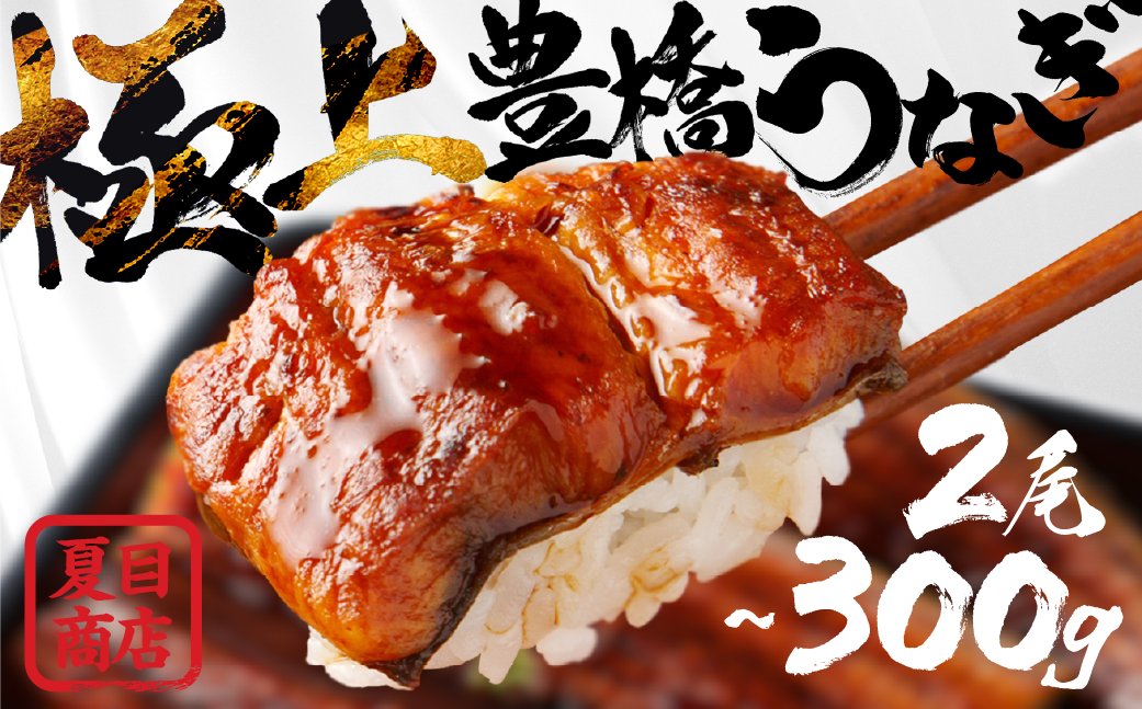 極上 豊橋うなぎ 蒲焼 2尾 ~300g 夏目商店