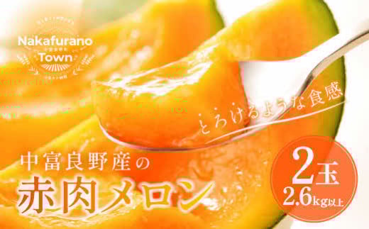 【2025年発送】AB-017中富良野　赤肉メロン　2玉（計2.6kg～)