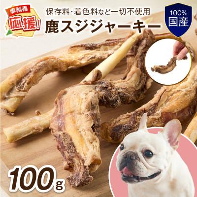 ふるさと納税 泉南市 ペットフード研究所 国産無添加 鹿スジジャーキー 100g ふるさと納税3.0