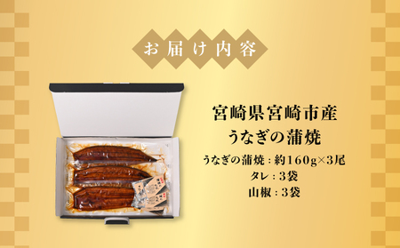 うなぎ 国産 蒲焼 3尾 うなぎ[480g]