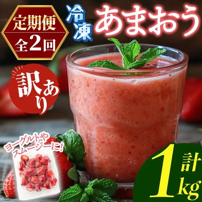 ≪定期便・全2回≫【訳あり】福岡県産 冷凍あまおう(総計1kg・計250g×2袋×毎月連続2回) いちご イチゴ 苺 ストロベリー 果物 フルーツ おやつ デザート 訳アリ わけあり サイズ不揃い 規格外 冷凍 定期便 頒布会 【木村食品】as46-057