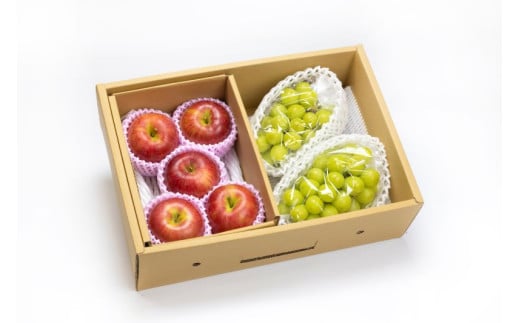 08-06-008　シャインマスカットとりんご詰合せ約2.5kg
