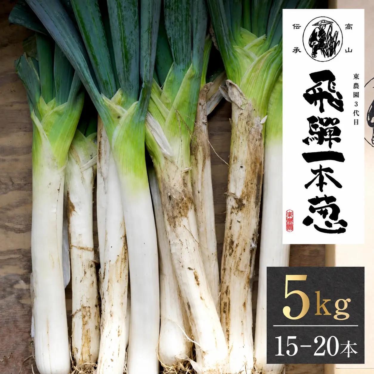 【期間限定】飛騨一本葱 プレミアム5キロ（15本‐20本） 葱 ねぎ JY005