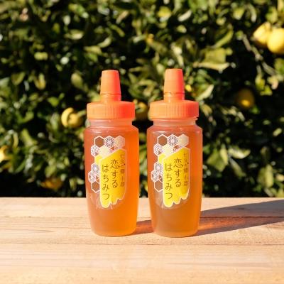 ふるさと納税 小郡市 はちみつ 国産 天然 純はちみつ 250g×2本 やまみつ&amp;さくら[No5354-0315]