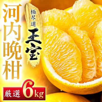 【愛媛名産】玉宝河内晩柑　6kg【C64−53】【1511221】