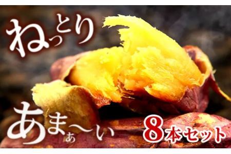 おいもや の 焼き芋 ８本セット おいもや 5856