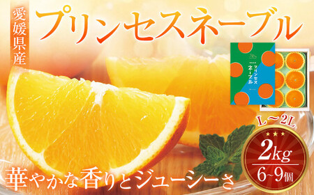 【先行予約】 愛媛県産 プリンセスネーブル L～2Lサイズ 2kg（6～9個） ネーブルオレンジ 果物 フルーツ 【2026年3月上旬～3月下旬発送予定】（875）