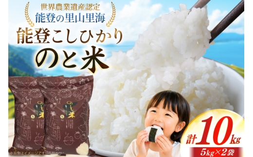 米 令和7年 のと米 能登こしひかり 10kg ( 5kg 2袋) [能登わかば農業協同組合 石川県 中能登町 nk17bth130003] こしひかり コシヒカリ 10キロ お米 ブランド米 国産 国産米 能登米 ごはん ご飯 白飯 飯  白米 こめ コメ おこめ okome kome 令和7年産 ふるさと納税