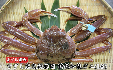 【納品日指定不可】すずし底曳網船団 特撰加能ガニ（1杯）　ボイル済み