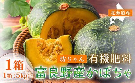 【秋の味覚 北海道産 小玉カボチャ】坊ちゃんカボチャ 無選別 5kg×1箱｜北海道富良野市 9～10月発送 野菜 料理用 家庭用 シェア用 ホクホク 濃厚 甘い 黒皮カボチャ かぼちゃ 坊ちゃんかぼちゃ 南瓜 料理 秋季限定