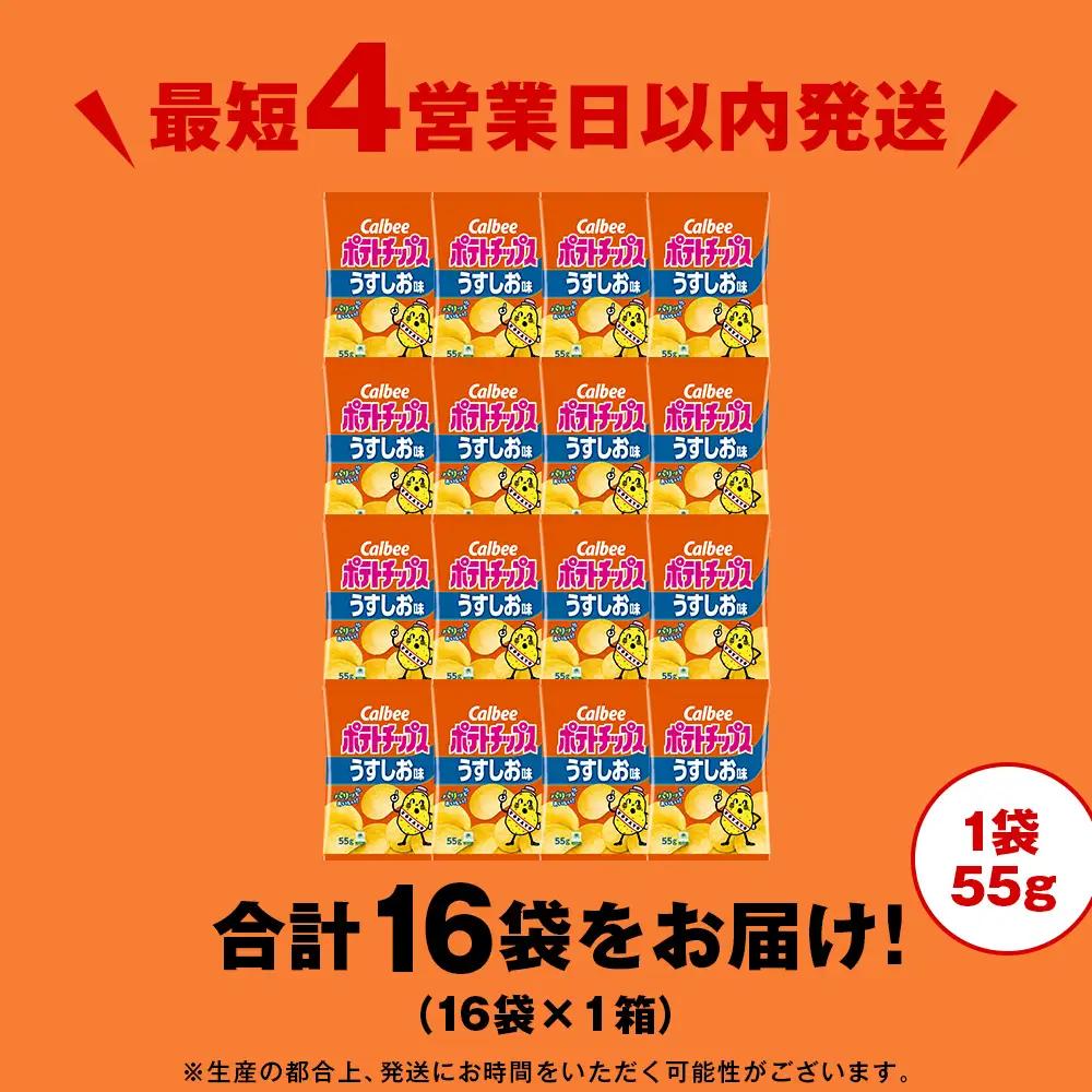カルビーポテトチップス＜うすしお＞16袋入×1箱《千歳工場製造》