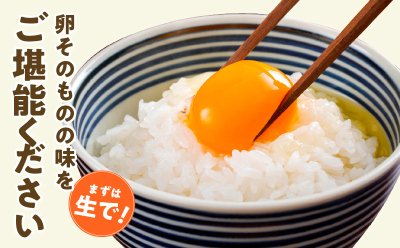 戸野さん家のこだわりタマゴ 30個 Mサイズ【卵 たまご 国産 濃厚 とことん餌にこだわった とのたま】 005A566_イメージ4