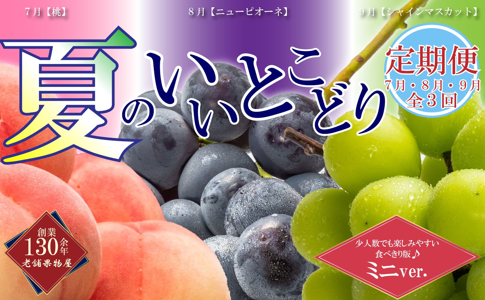 【全3回】フルーツ定期便「丸亀市夏のいいとこどり定期便」～少人数でも楽しみやすい食べきり版～/シャインマスカット 桃 ピオーネ  定期配送 頒布会 果実 果物