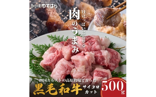 低温でも脂身がとろけるゆすはら牛サイコロカット 500g　牛肉 和牛 黒牛 BBQ オレイン酸 高知県産