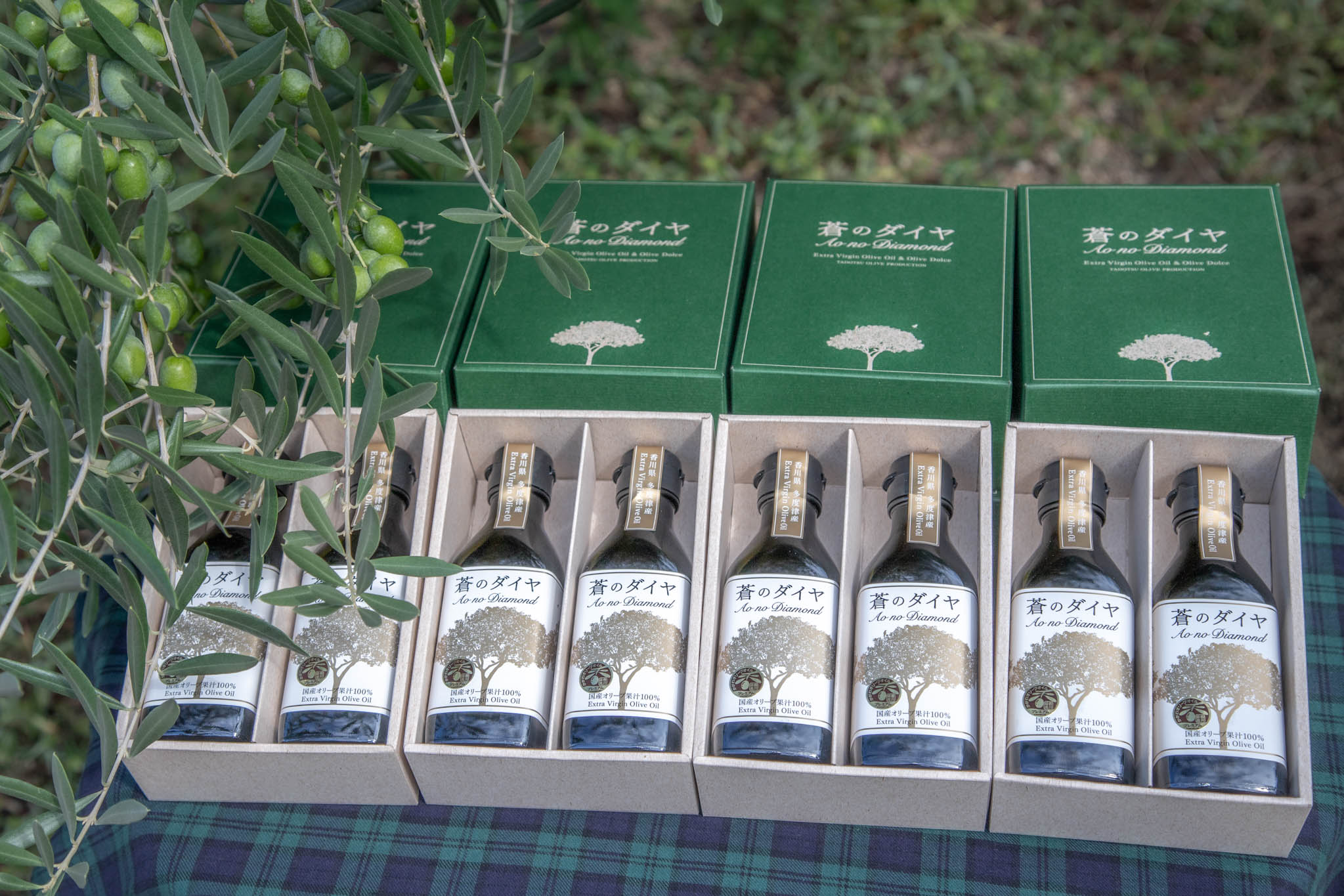 「蒼のダイヤ」オリーブオイルセットG【予約受付中!11月中旬以降発送】【G-3】