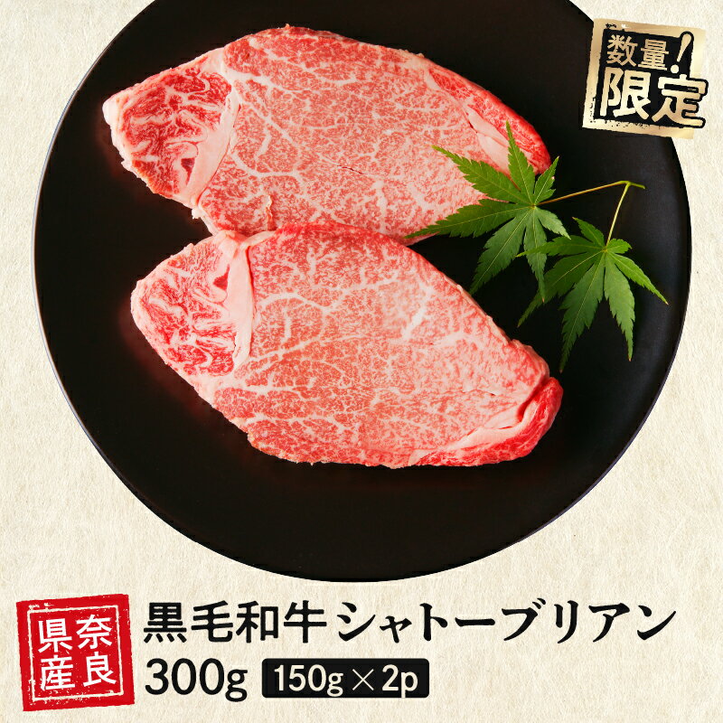 【ふるさと納税】 国産牛 シャトーブリアン （2人前） ステーキ 和牛 牛肉 冷蔵 肉 国産 おすすめ お取り寄せ ギフト プレゼント 山口精肉店