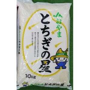 令和7年産　栃木県小山市産　とちぎの星　精米10kg【1491374】