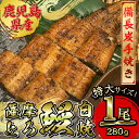 【ふるさと納税】【江口商店監修】薩摩とろ鰻白焼特大サイズ一尾 280g 国産 鹿児島県産 ウナギ 鰻 うなぎ 冷凍 たれ付 山椒付き 鰻白焼 うなぎ白焼き【志】