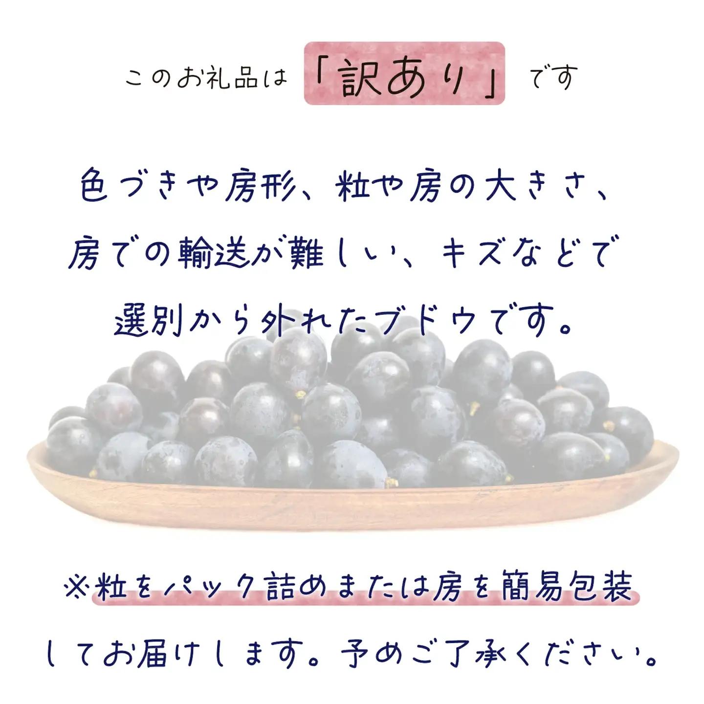 【2026年先行予約】岡山 花笑み農園の訳あり『BKシードレス』1kg 【hana062-02】