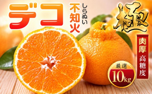 ＜太陽をたっぷり浴びた＞デコ(不知火)＜極＞10kg＜H49-47＞【1509744】 YWTZ039