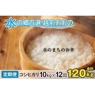 ふるさと納税 大野市 【令和7年産】【12ヶ月定期便】こしひかり 10kg×12回 計120kg【白米】「エコファーマー米