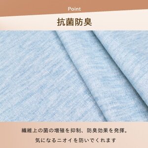防ダニ カーペット 6畳 日本製 抗菌防臭 ノースポール 江戸間 261×352cm ブルー【1639037】