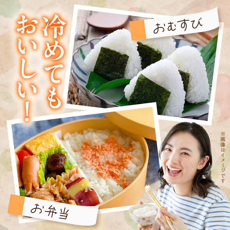 【R8年産新米 先行受付】特別栽培米「いのちの壱」（10kg）＜農家直送＞ 希少米 10kg 米 新米 精米 白米 ご飯 国産 産地直送 甘い 粘り強い もちもち お取り寄せ こだわり米 愛知県 小牧