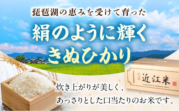 近江米 キヌヒカリ きぬひかり 滋賀県産 国産 10kg 米 コメ お米 白米 ご飯 おにぎり ご飯のお供 カレー 丼