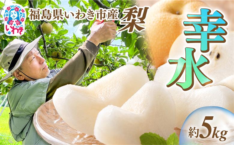 【先行予約】福島県いわき市産 梨(幸水) 約5kg | 梨 幸水 いわき市産 岡田梨園 約5kg 先行予約 期間限定 果物 フルーツ 和梨 国産 新鮮 産地直送 甘い ジューシー 瑞々しい シャキシャ