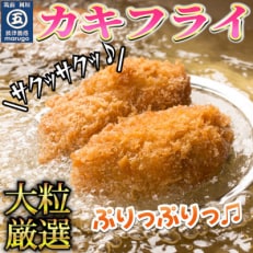 【発送月固定定期便】サクサクッ!国産大粒カキフライ20粒(約500g)(岡垣町)全3回