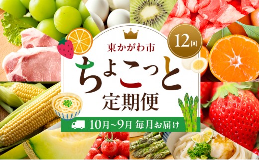 
                  定期便 ちょこっと定期便 12ヶ月 12回 香川県産 黒毛和牛 オリーブ牛 オリーブ豚 さぬきひめ いちご さぬきのめざめ アスパラ ミニトマト イエローコーン タカミメロン シャインマスカット キウイ みかん 鶏卵 讃岐うどん 定期 香川県 東かがわ市
                