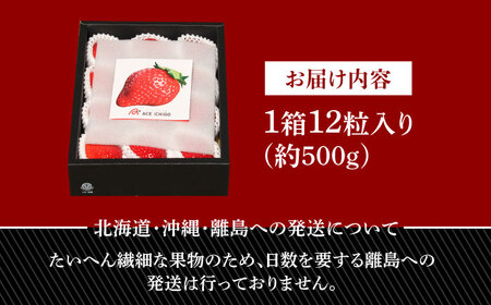 あまおう 12粒 【1月中旬以降順次発送】 あまおう [ABAG006] 