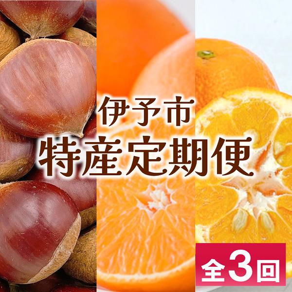 伊予市 特産定期便 全3回 中山栗・紅まどんな・伊予柑｜D48
