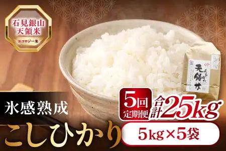 【定期便】石見銀山天領米(5kg×5回お届け)【定期便 定期 5回 コシヒカリ 精米 5kg×5回 合計25kg 島根県産 大田市産 米 氷感熟成 エコロジー米 天領米】