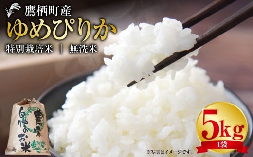 【令和7年産】 ゆめぴりか （無洗米） 5kg 北海道 鷹栖町 たかすタロファーム 米 コメ こめ ご飯 無洗米 お米 ゆめぴりか 無洗米