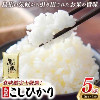 ふるさと納税 安来市 食味鑑定士厳選　島根こしひかり 5kg(5kg×1袋)(安来市)