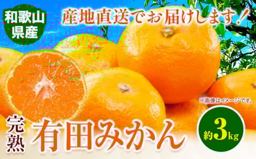 みかん 完熟有田みかん 約 3kg 有田マルシェ《11月中旬-1月上旬頃出荷予定》 和歌山県 日高町 みかん 有田 みかん 柑橘 フルーツ 完熟 ミカン 蜜柑 送料無料 st-p