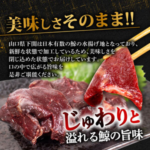 くじらの赤肉刺身 900g 刺身 くじら BY120