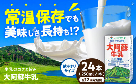 【全12回定期便】大阿蘇牛乳 ロングライフ 250ml 24本（12本入り×2ケース） 6L【合同会社 福福堂】[AYAC029]
