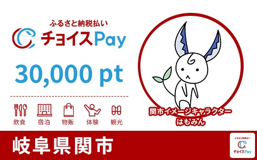 
            関市チョイスPay 30,000pt【会員限定のお礼の品】
          