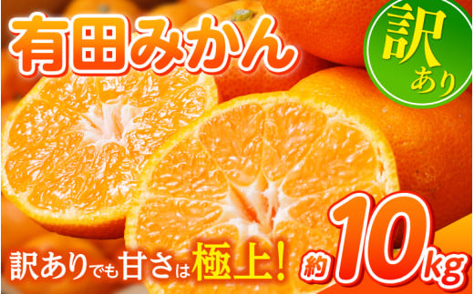 【先行予約】 和歌山県産 有田みかん 約10kg ※2025年11月中旬より順次発送予定【訳あり】ご家庭用 サイズ混合 （お届け日指定不可） 訳ありみかん 温州みかん サイズ混合 有機質肥料100% 柑橘 有田 産地直送 みかん フルーツ 有田ミカン 和歌山 果物 くだもの 正月 年末 年内※北海道・沖縄・離島への配送不可  【nuk138F】