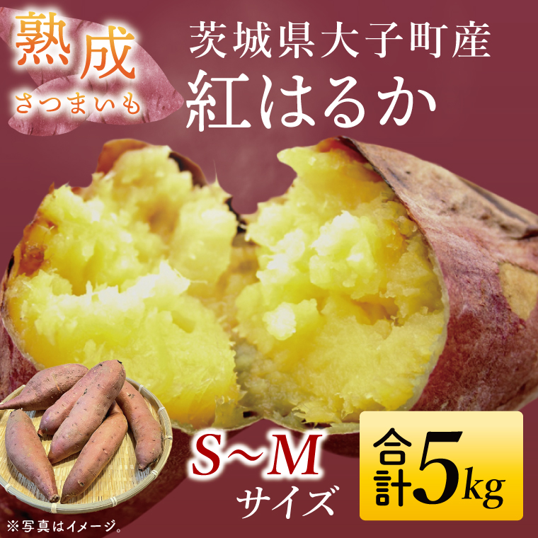 【先行予約】熟成さつまいも 紅はるか 5kg【10月中旬より順次発送予定】｜茨城県 大子町 サツマイモ べにはるか 芋 甘い ホクホク 野菜 数量限定 秋 旬 産地直送（CH001）