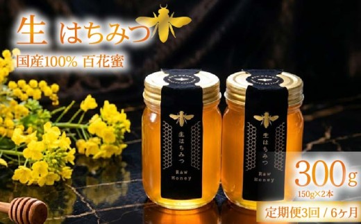 蜂蜜 ローハニー 150gx2 セット 3回 定期便 隔月 合計900g はちみつ 国産 非加熱 百花蜜 生はちみつ 純粋 ハチミツ ハニー お取り寄せ お土産 発酵食品 下田みつばち 静岡県 下田市 伊豆