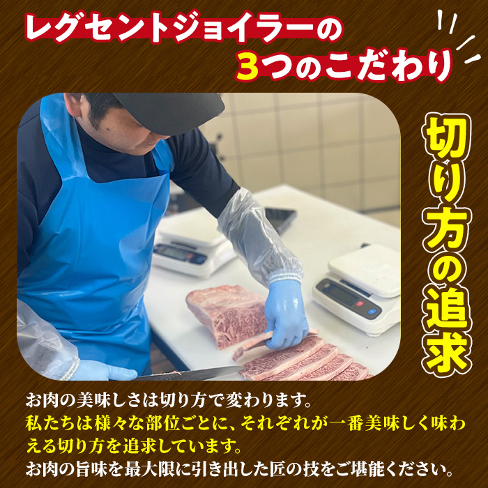 宮崎牛 切り落とし(計1kg・500g×2P)【LJ005】【レグセントジョイラー株式会社】