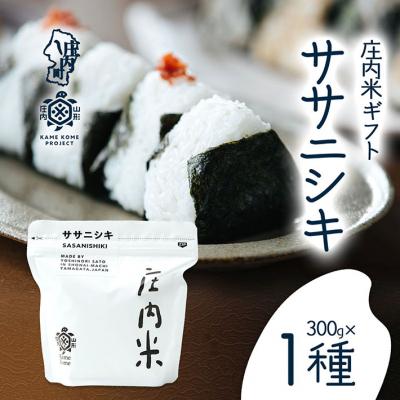 ふるさと納税 庄内町 山形庄内かめこめプロジェクト 庄内米ギフト ササニシキ 300g×1袋 令和7年産 2025年産