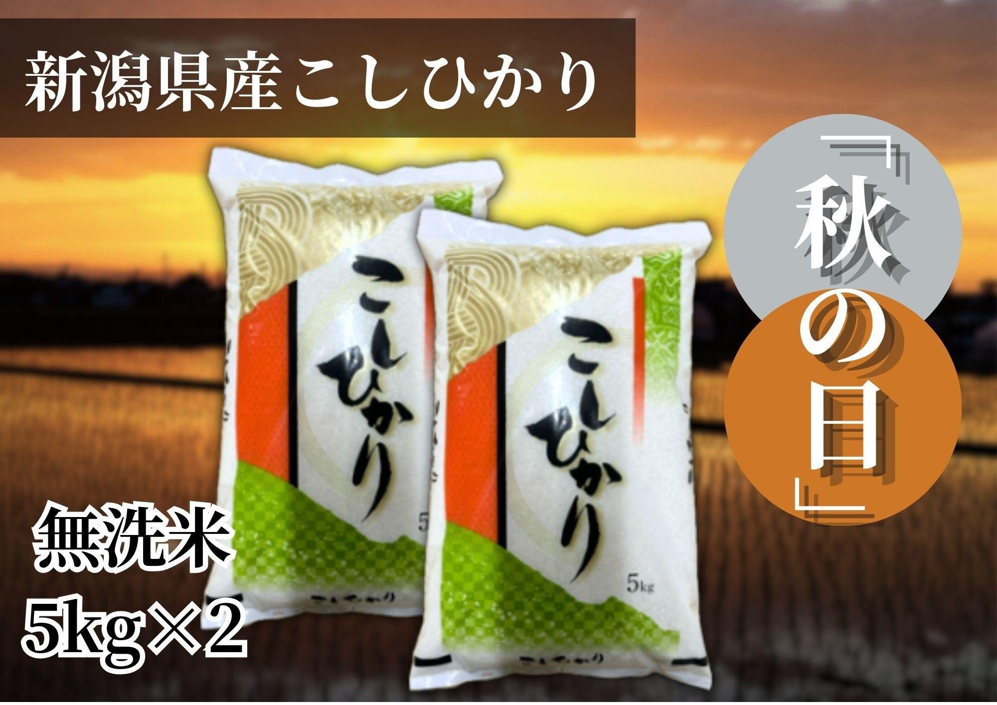 
                  【令和7年産 】新潟県産こしひかり「秋の日」（無洗米10kg）【5kg×2袋】新潟県の美味しいお米。
                